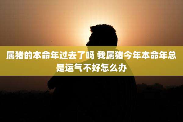 属猪的本命年过去了吗 我属猪今年本命年总是运气不好怎么办