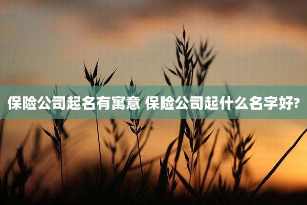保险公司起名有寓意 保险公司起什么名字好?