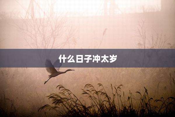 什么日子冲太岁