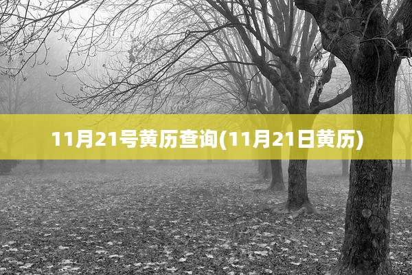 11月21号黄历查询(11月21日黄历)