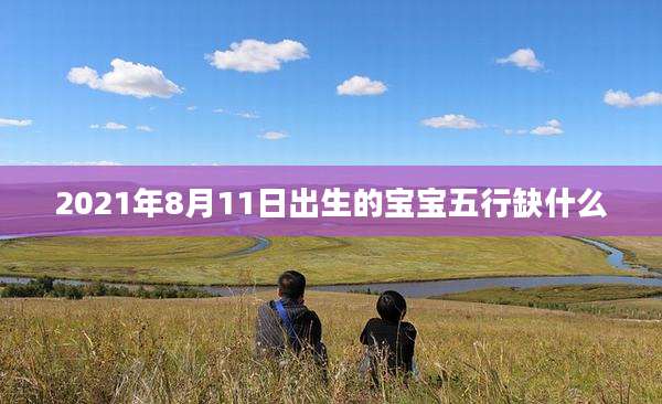 2021年8月11日出生的宝宝五行缺什么