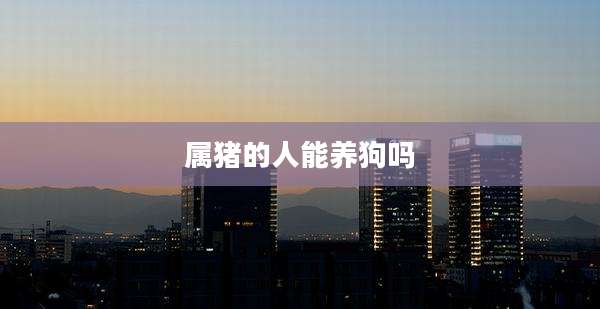 属猪的人能养狗吗