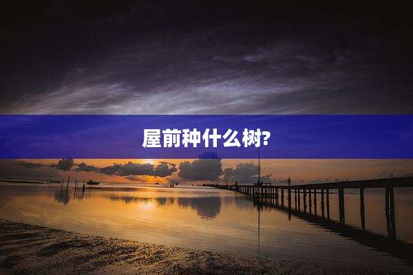 屋前种什么树?