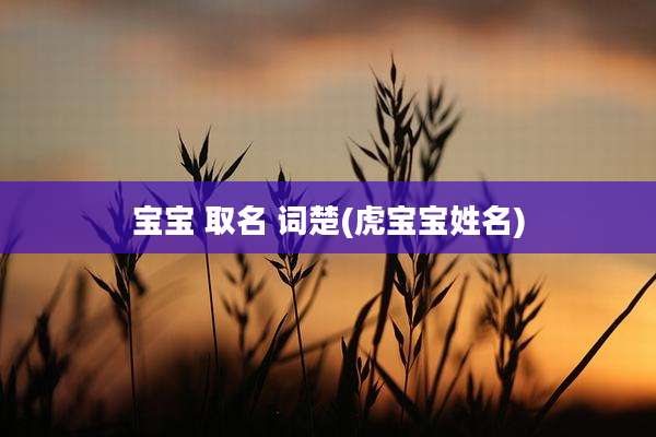 宝宝 取名 词楚(虎宝宝姓名)