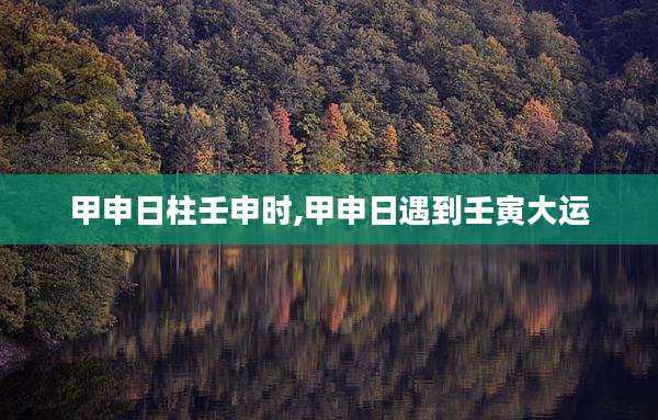 甲申日柱壬申时,甲申日遇到壬寅大运