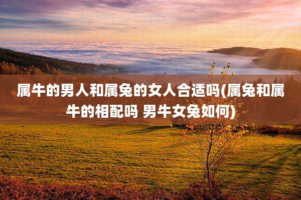 属牛的男人和属兔的女人合适吗(属兔和属牛的相配吗 男牛女兔如何)