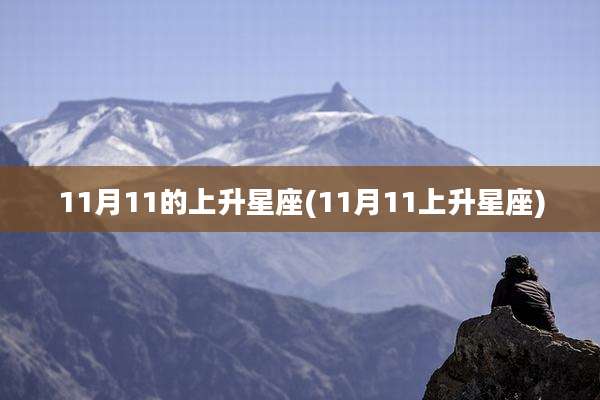 11月11的上升星座(11月11上升星座)