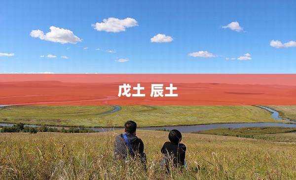 戊土 辰土