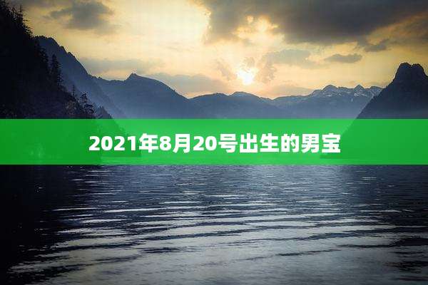 2021年8月20号出生的男宝