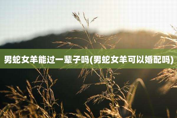 男蛇女羊能过一辈子吗(男蛇女羊可以婚配吗)