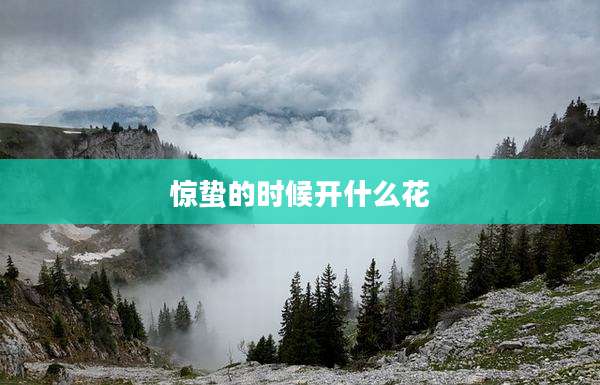 惊蛰的时候开什么花