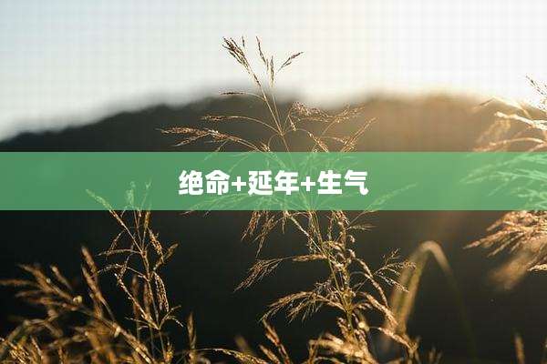 绝命+延年+生气