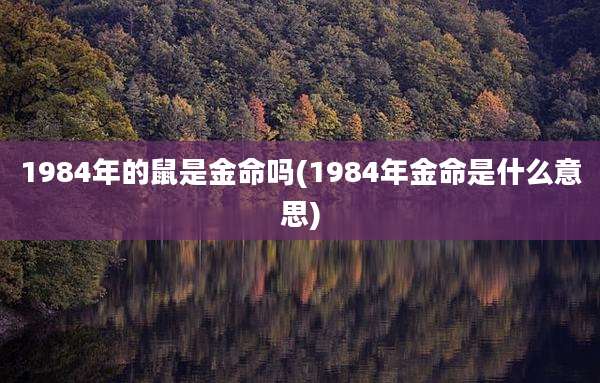 1984年的鼠是金命吗(1984年金命是什么意思)