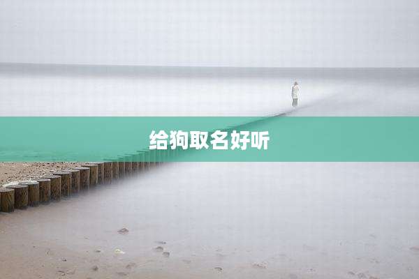 给狗取名好听