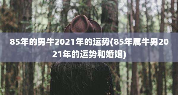 85年的男牛2021年的运势(85年属牛男2021年的运势和婚姻)