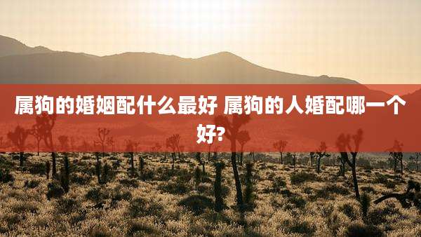 属狗的婚姻配什么最好 属狗的人婚配哪一个好?