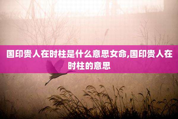 国印贵人在时柱是什么意思女命,国印贵人在时柱的意思