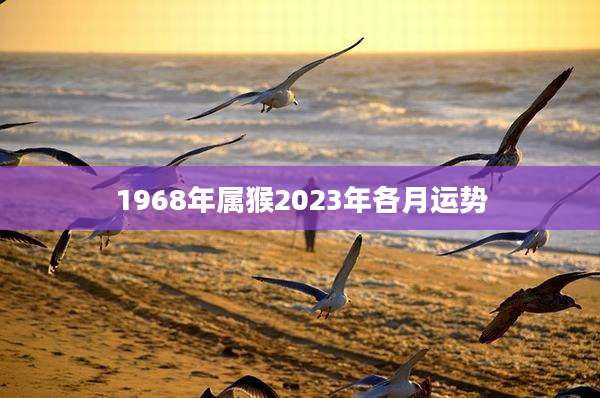 1968年属猴2023年各月运势