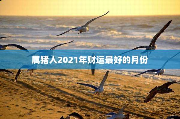 属猪人2021年财运最好的月份
