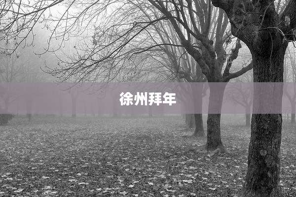 徐州拜年