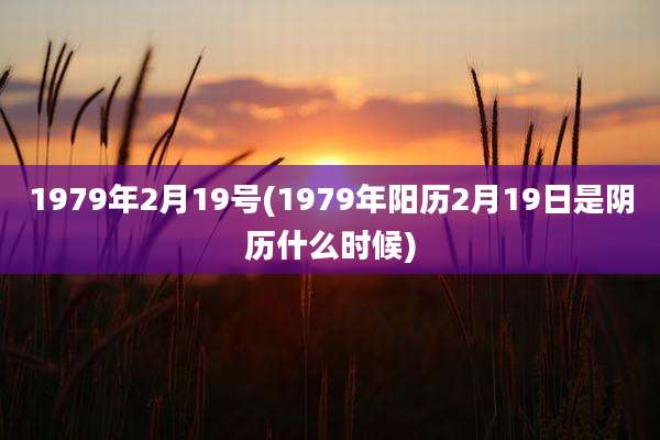 1979年2月19号(1979年阳历2月19日是阴历什么时候)