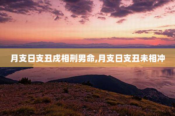 月支日支丑戌相刑男命,月支日支丑未相冲