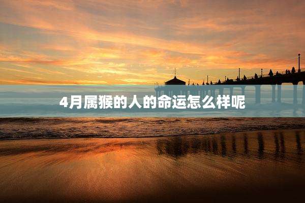 4月属猴的人的命运怎么样呢