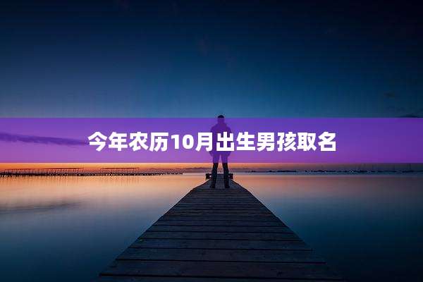 今年农历10月出生男孩取名
