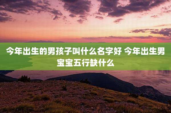 今年出生的男孩子叫什么名字好 今年出生男宝宝五行缺什么