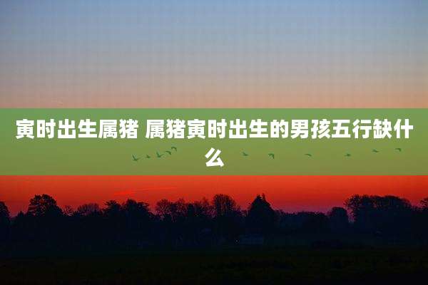 寅时出生属猪 属猪寅时出生的男孩五行缺什么
