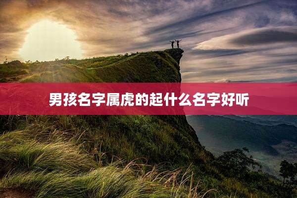 男孩名字属虎的起什么名字好听