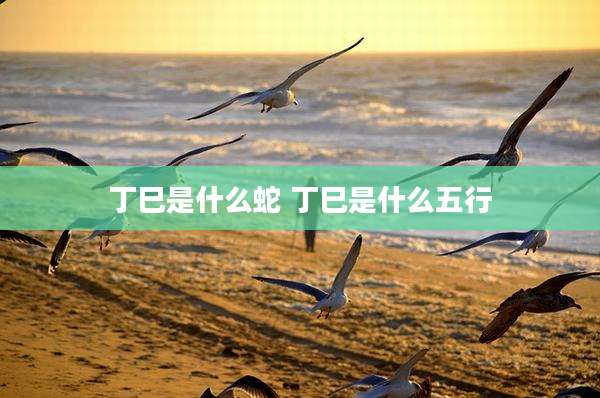 丁巳是什么蛇 丁巳是什么五行