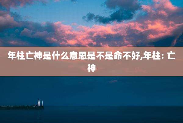 年柱亡神是什么意思是不是命不好,年柱: 亡神