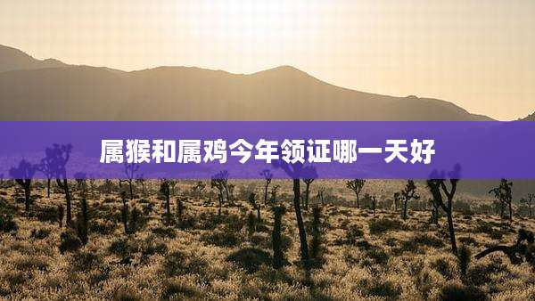 属猴和属鸡今年领证哪一天好