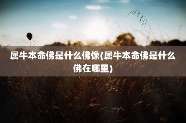 属牛本命佛是什么佛像(属牛本命佛是什么佛在哪里)