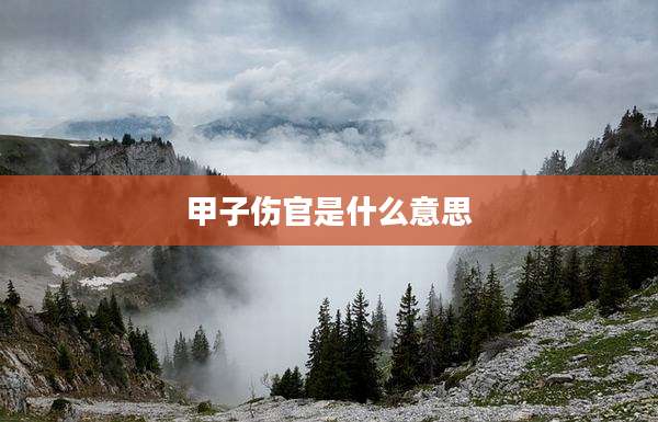 甲子伤官是什么意思