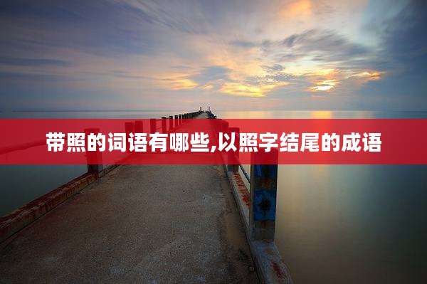 带照的词语有哪些,以照字结尾的成语