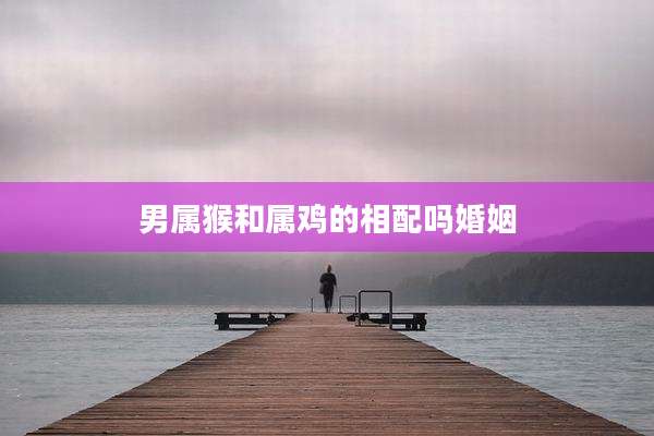 男属猴和属鸡的相配吗婚姻