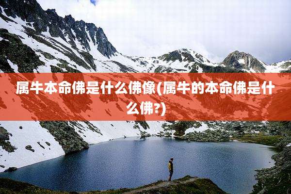 属牛本命佛是什么佛像(属牛的本命佛是什么佛?)