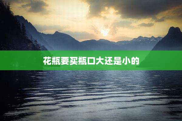花瓶要买瓶口大还是小的