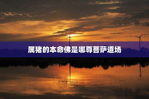 属猪的本命佛是哪尊菩萨道场