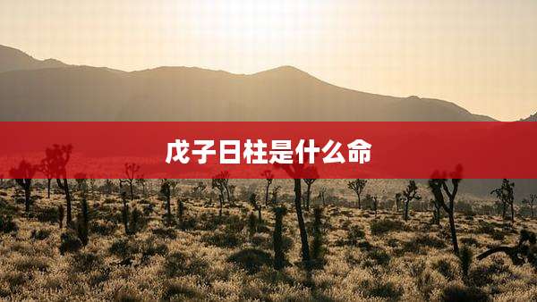 戊子日柱是什么命