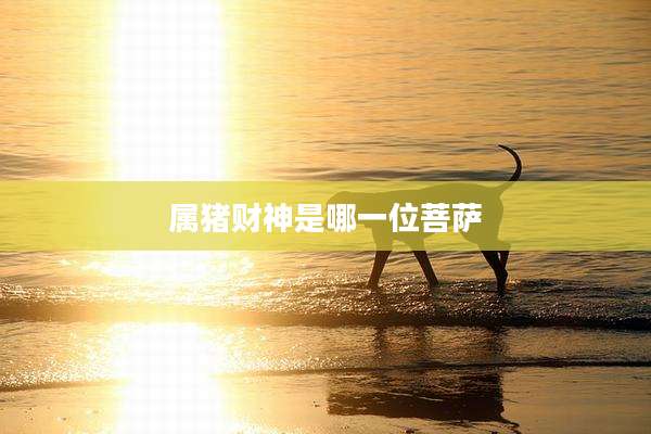 属猪财神是哪一位菩萨