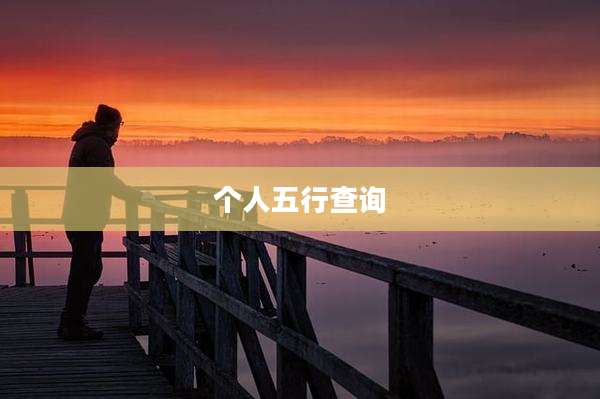 个人五行查询
