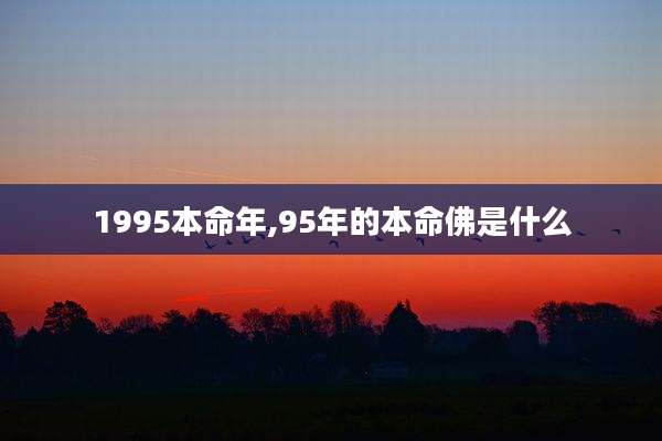 1995本命年,95年的本命佛是什么