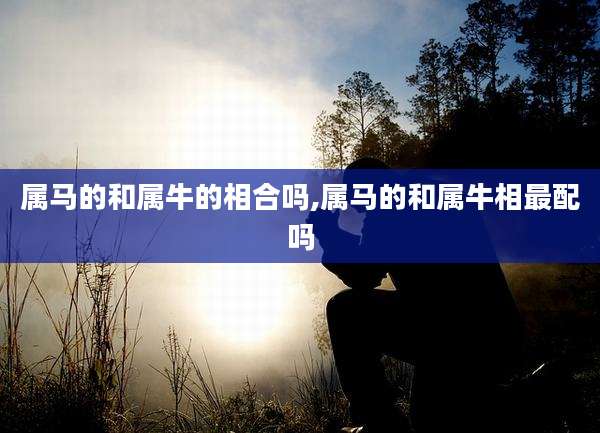 属马的和属牛的相合吗,属马的和属牛相最配吗