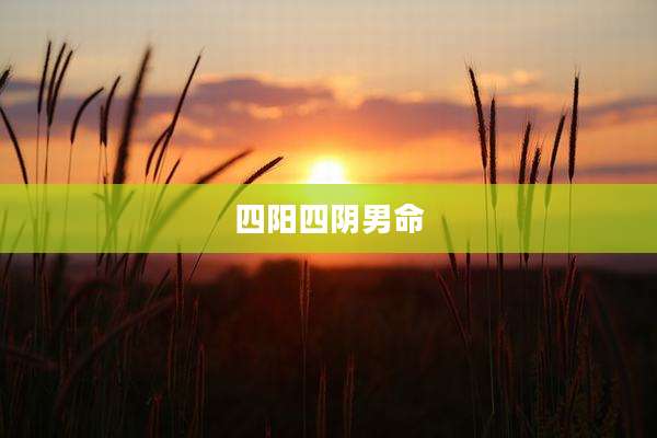 四阳四阴男命