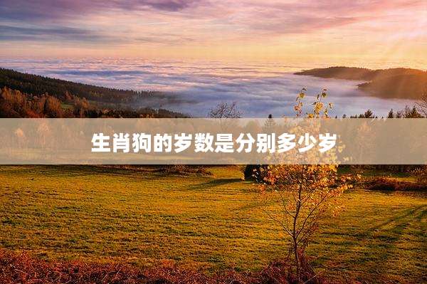 生肖狗的岁数是分别多少岁