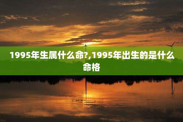 1995年生属什么命?,1995年出生的是什么命格