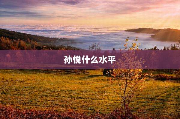 孙悦什么水平